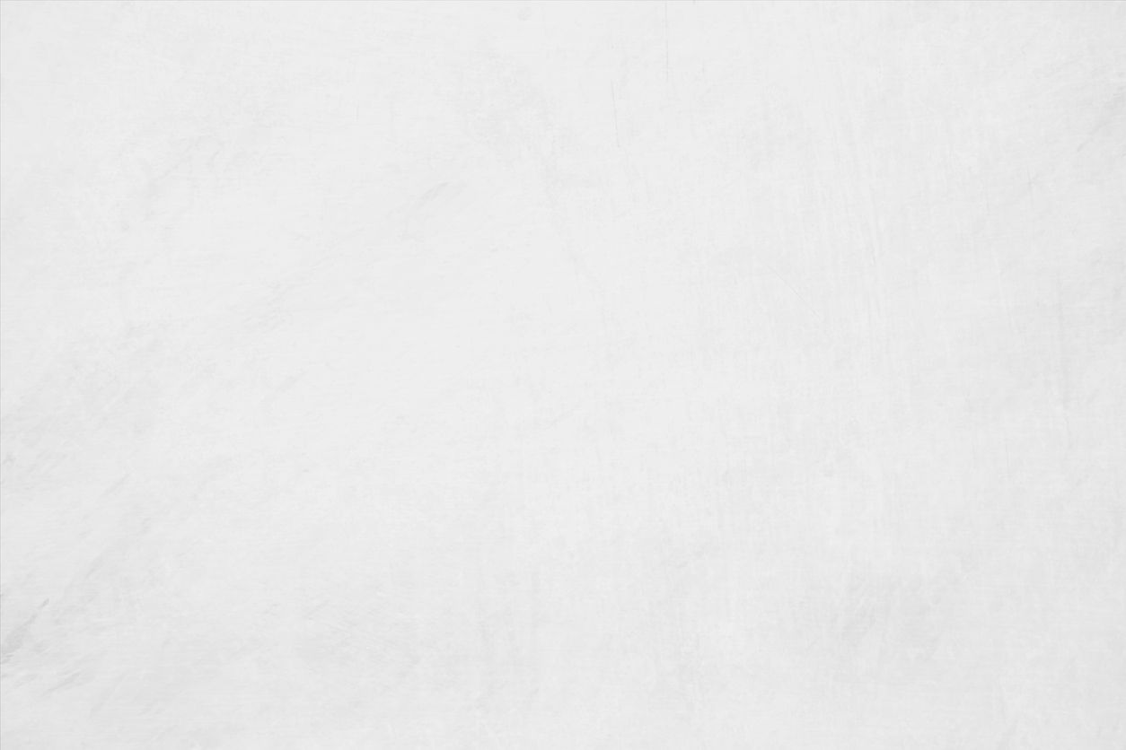 Plain white textured background.